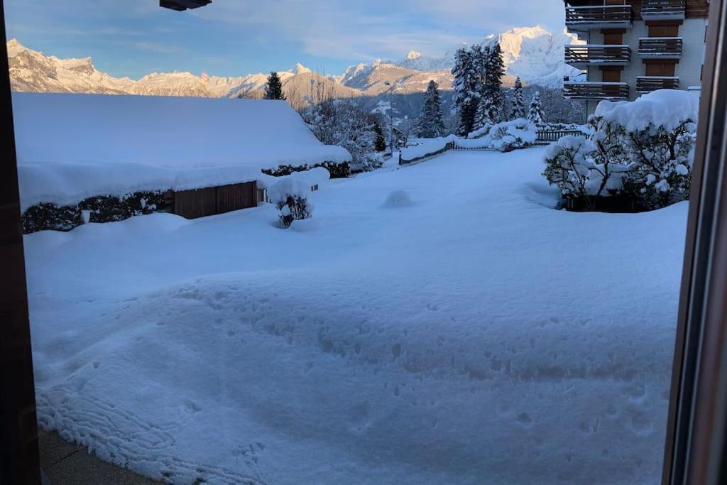 Appartamento La Marmotte: Vue Mont Blanc, Terrasse, Parking Combloux Esterno foto