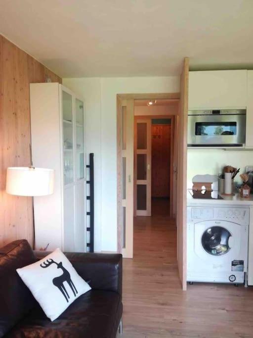 Appartamento La Marmotte: Vue Mont Blanc, Terrasse, Parking Combloux Esterno foto